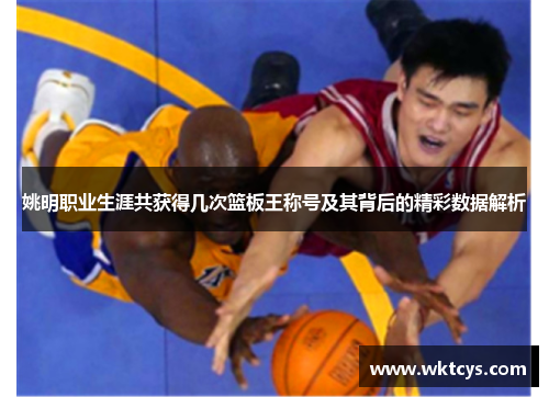 姚明职业生涯共获得几次篮板王称号及其背后的精彩数据解析