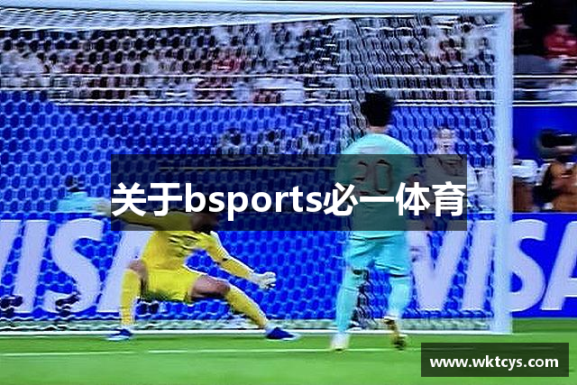 关于bsports必一体育